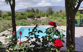 Roses Villa