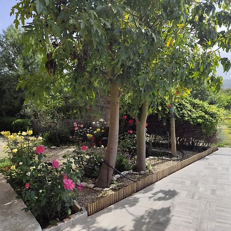 Roses Villa Trimiklini Экстерьер фото