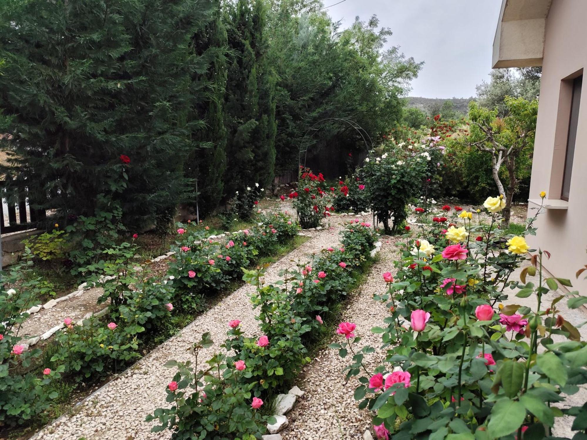 Roses Villa Trimiklini Экстерьер фото